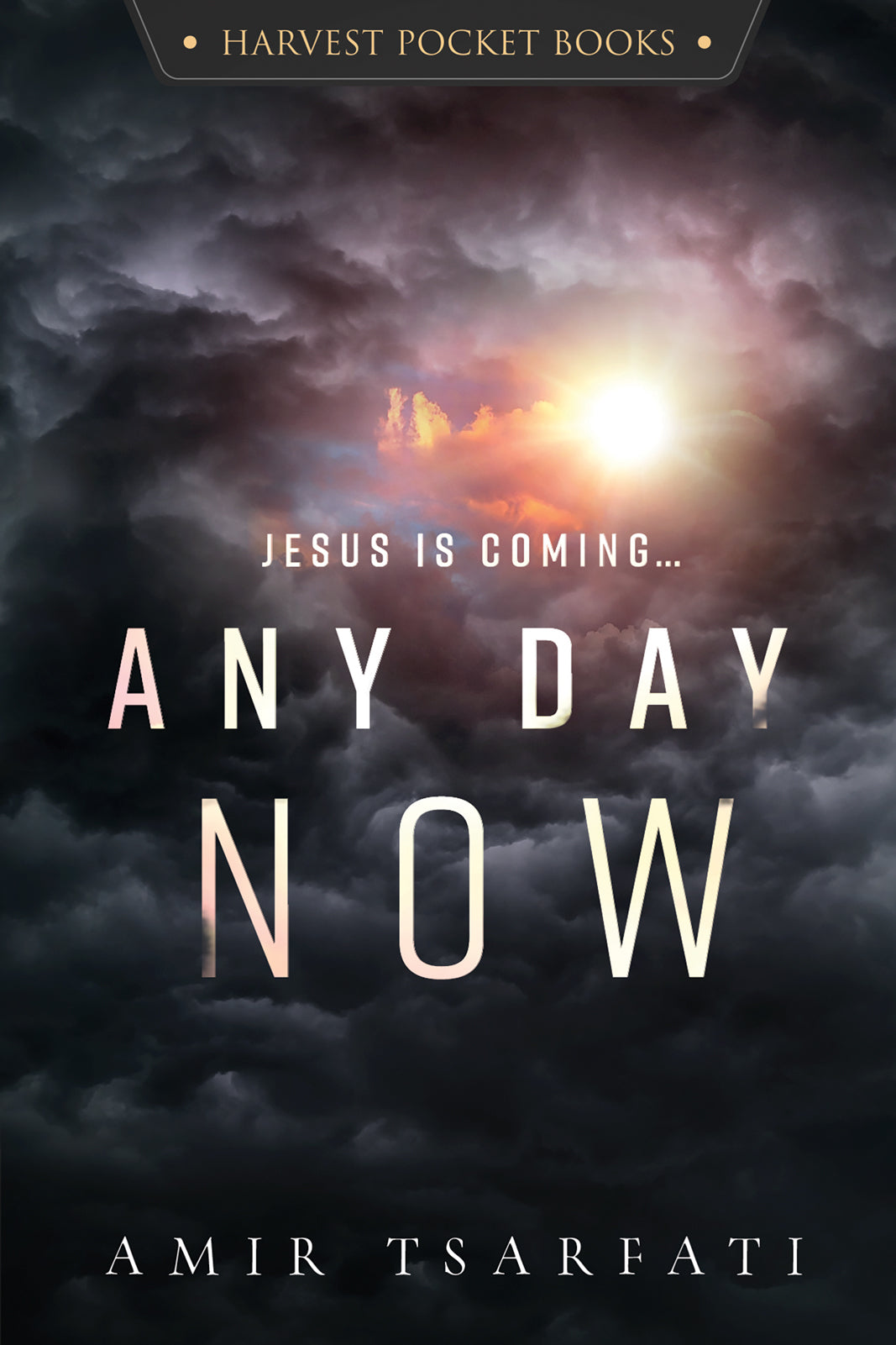 Any Day Now-pocket book