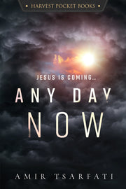 Any Day Now-pocket book